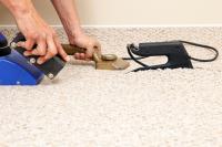Professional Carpet Cleaning Plus Logo