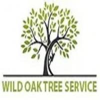 Tree Service Experts Austin logo