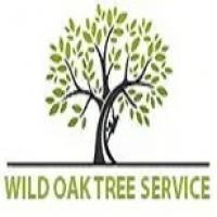 Tree Service Experts Austin Logo