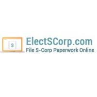 Elect S Corp Logo