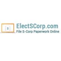 Elect S Corp Logo