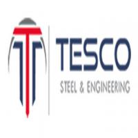 Tesco Steel & Engineering Logo