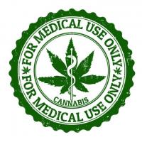 Spark Cannabis Company Logo