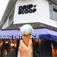 Drip N Scoop Logo
