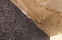 Mold Experts of Utah Logo