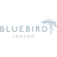 Bluebird London NYC Logo