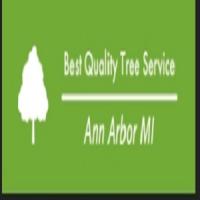 Best Quality Tree Service Ann Arbor MI Logo