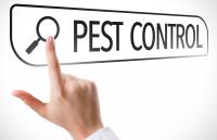 Ringling Pest Control Logo
