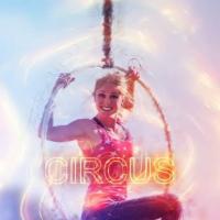 Drive In Family Circus Logo