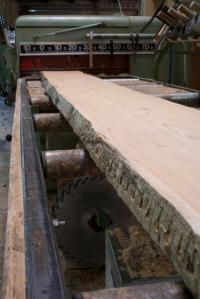 Mendoza Finish Carpentry Logo