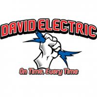 David Electric Logo