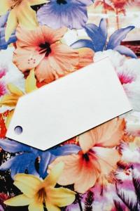 Tag Enterprises Logo