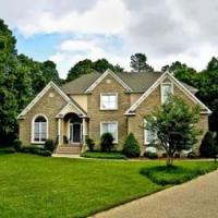 Arbor Authority Logo