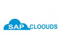 Online Server access for SAP HANA - Sapcloouds Logo
