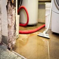 Good Fortune Water Damage Experts Logo