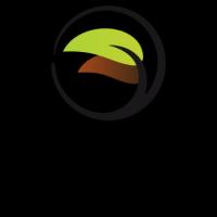 Transitions Counseling and Consulting Logo