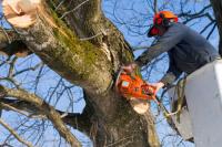 EK Tree Services Logo