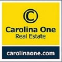 Carolina One Real Estate Logo
