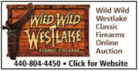 Wild Wild Westlake logo