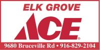 Ace Hardware Elk Gorve logo