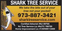 Shark Tree Service logo