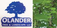 Olander Tree & Landscaping Service logo